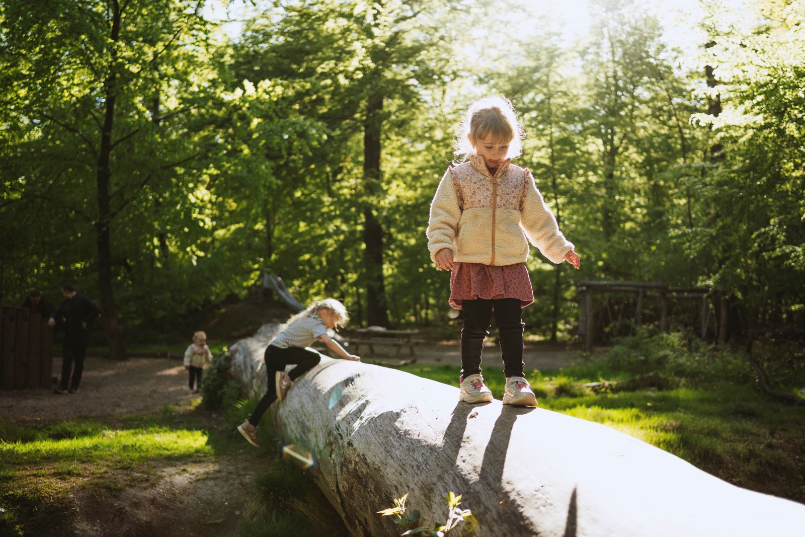Familie leger i skoven