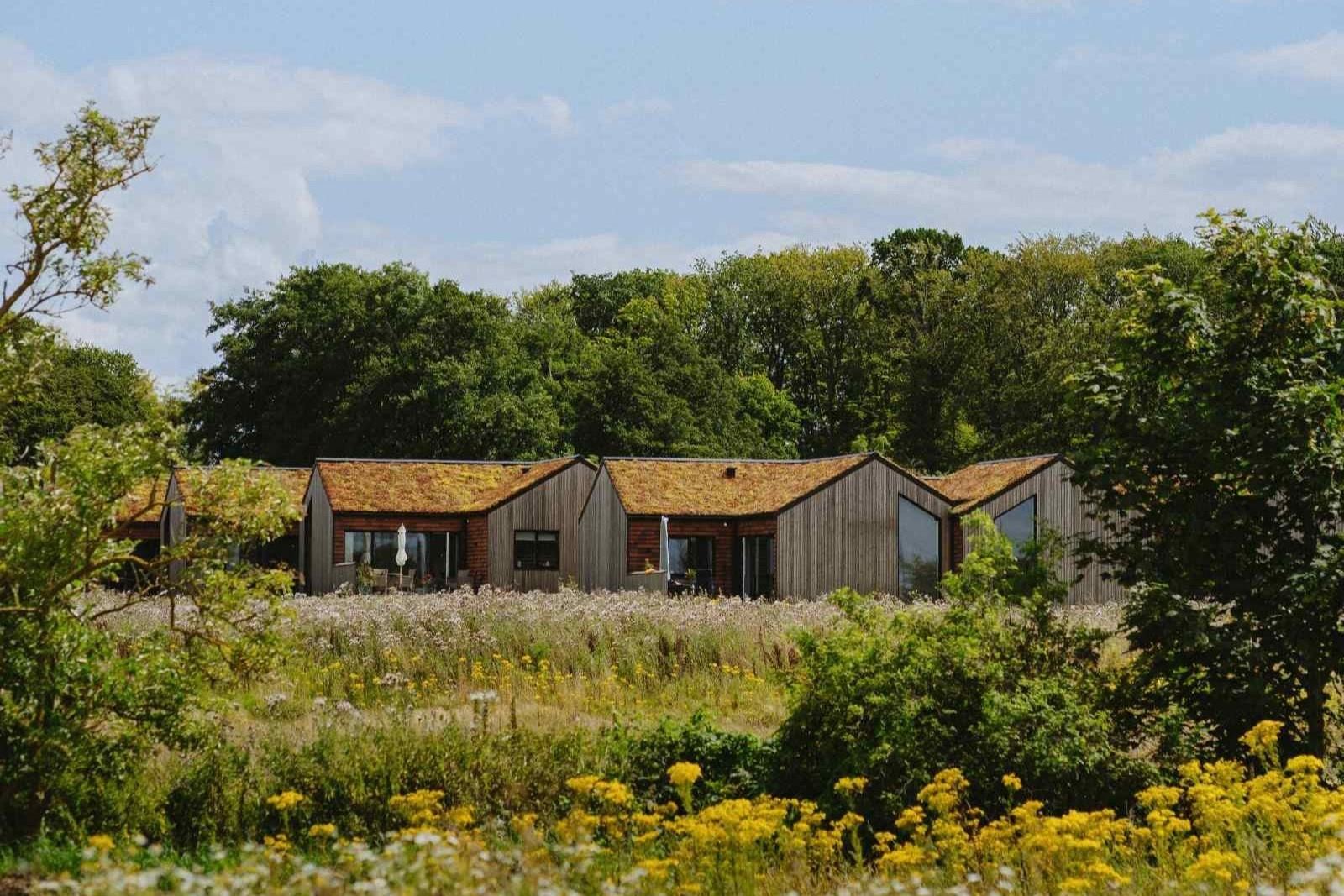 Bæredygtige huse i grønne omgivelser