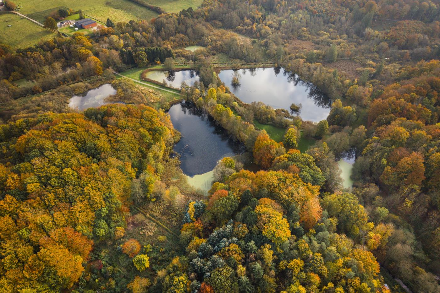  Elbodalen om efteråret