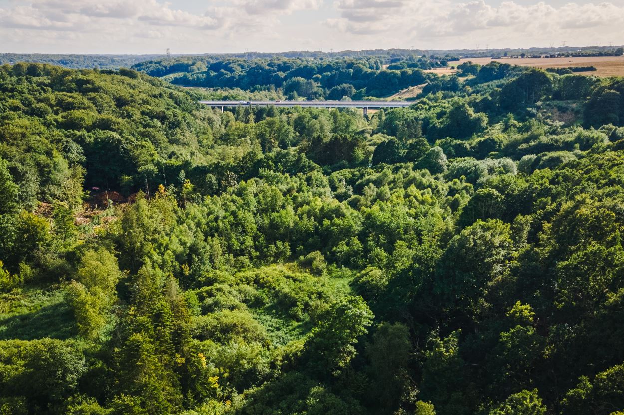Elbodalen tæt ved Taulov