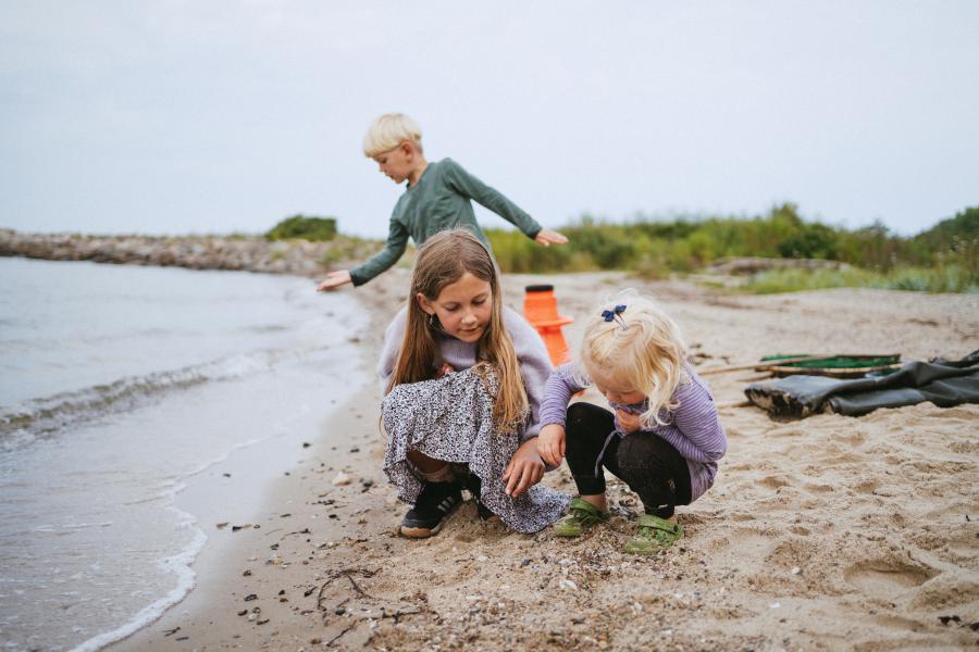 Børn undersøger sten på stranden