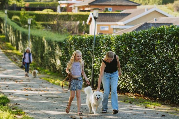 Piger lufter hund i Erritsø