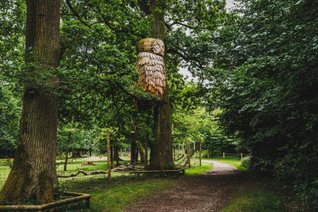 Uglen i Hannerup Skov