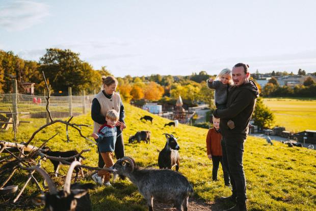 Børnefamilie ved gederne i Madsby Legepark