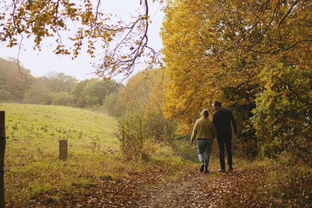 Par går tur i skoven