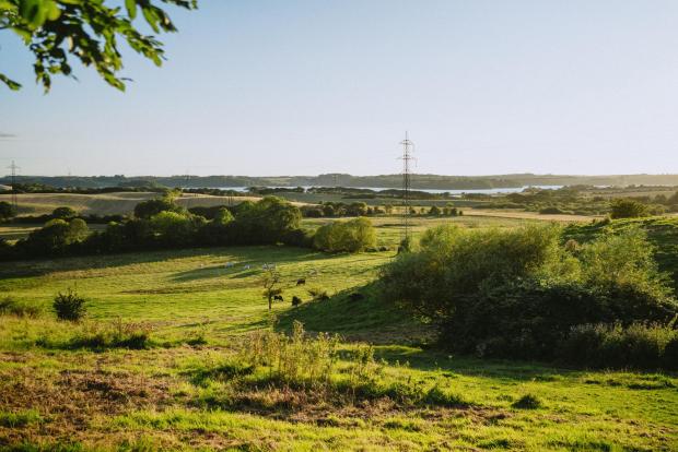 Grønt landskab ved Taulov