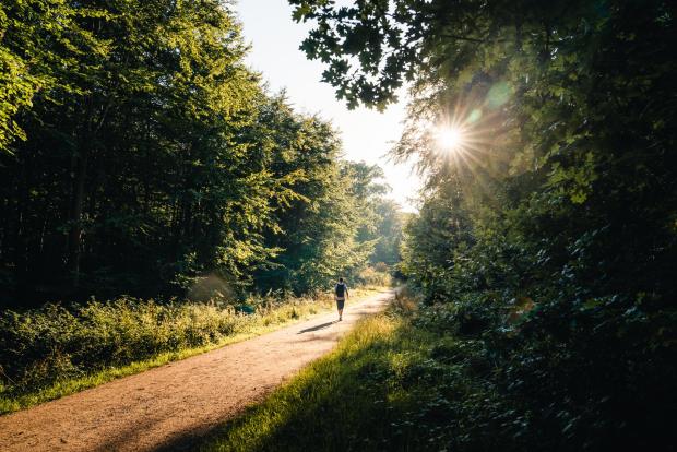 Vandretur på Trelde Næs