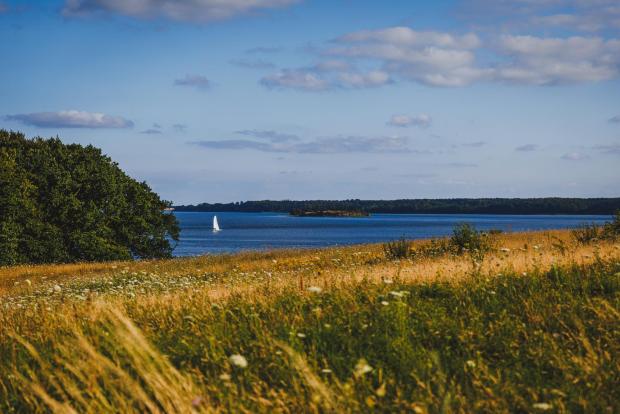 Sommerdag ved Hagenør